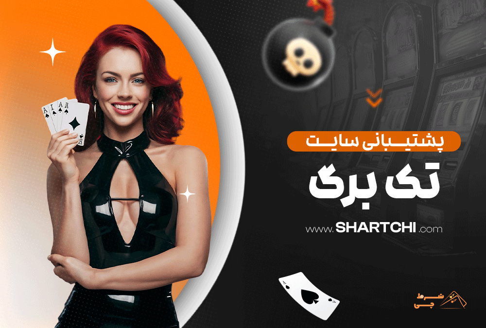 پشتیبانی سایت تک برگ