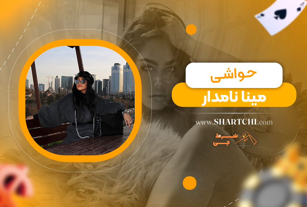 حواشی مینا نامدار