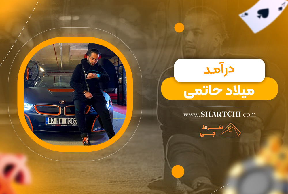 درآمد میلاد حاتمی