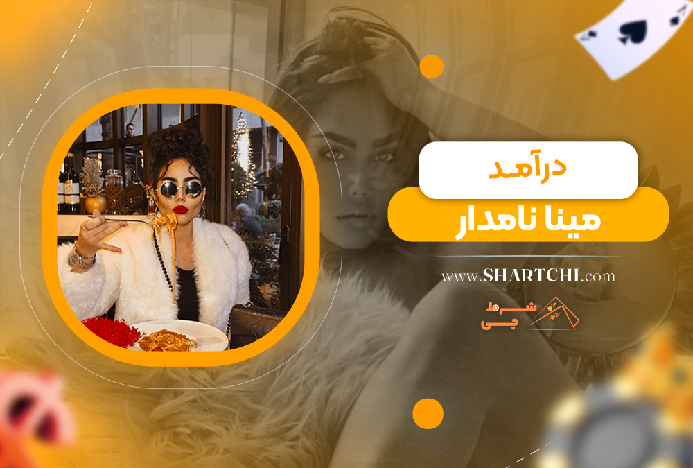 درآمد مینا نامدار