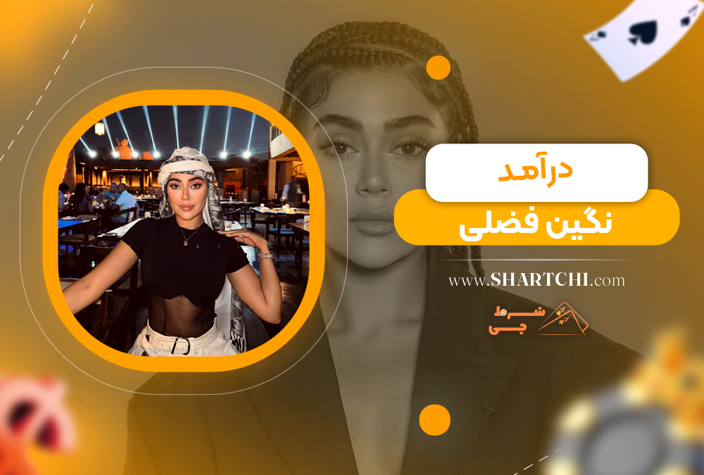 درآمد نگین فضلی