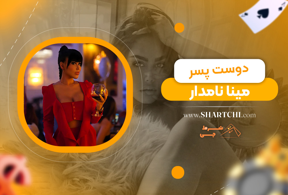 دوست پسر مینا نامدار 