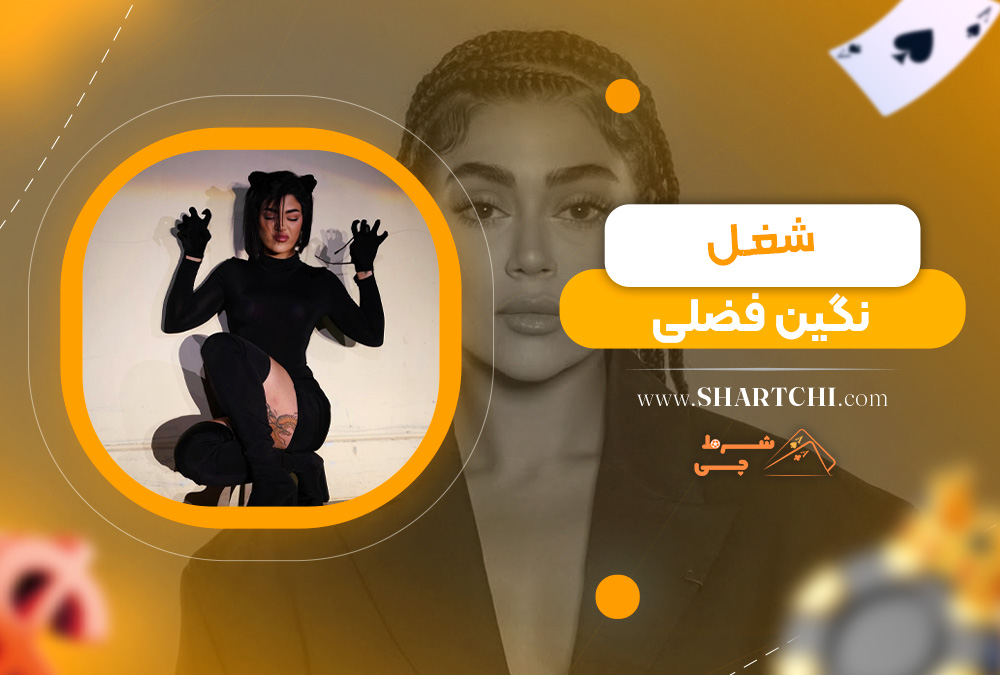 شغل نگین فضلی