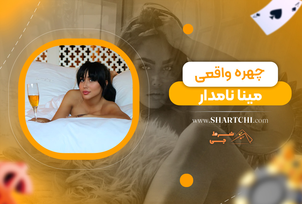 چهره واقعی مینا نامدار 
