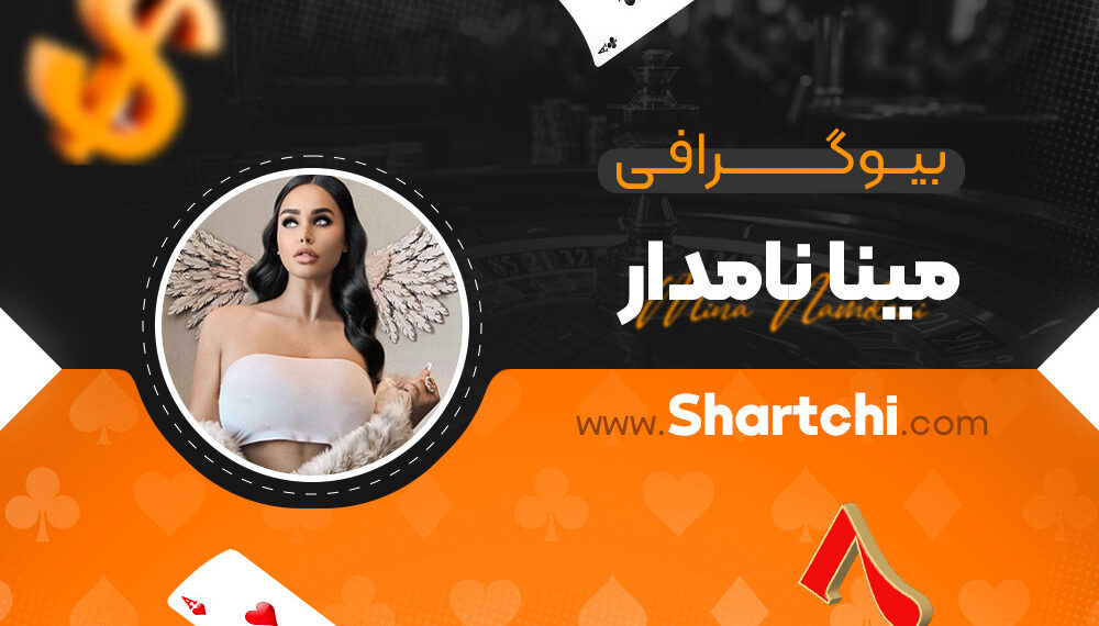 بیوگرافی مینا نامدار