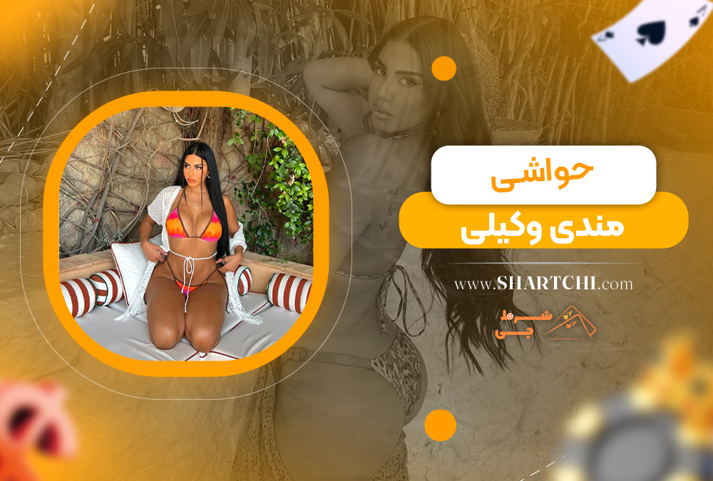 حواشی مندی وکیلی