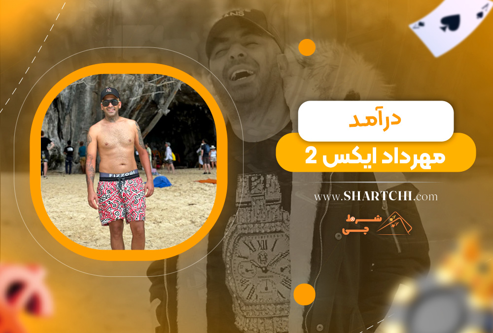 درآمد مهرداد ایکس 2  